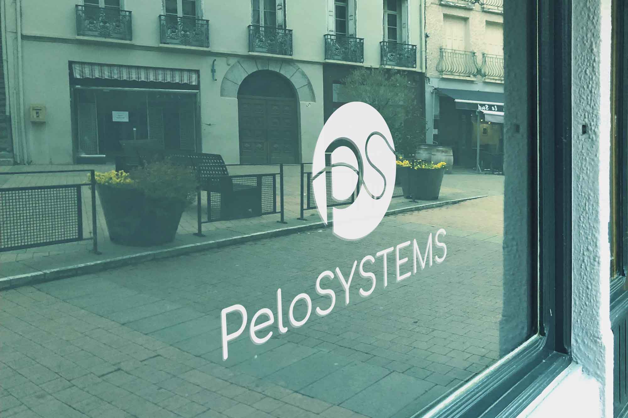 Fraquicia Pelosystems